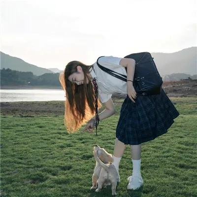 运动高飞狗